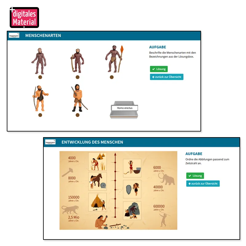 Model "Ontwikkeling van de mens", 5-delig