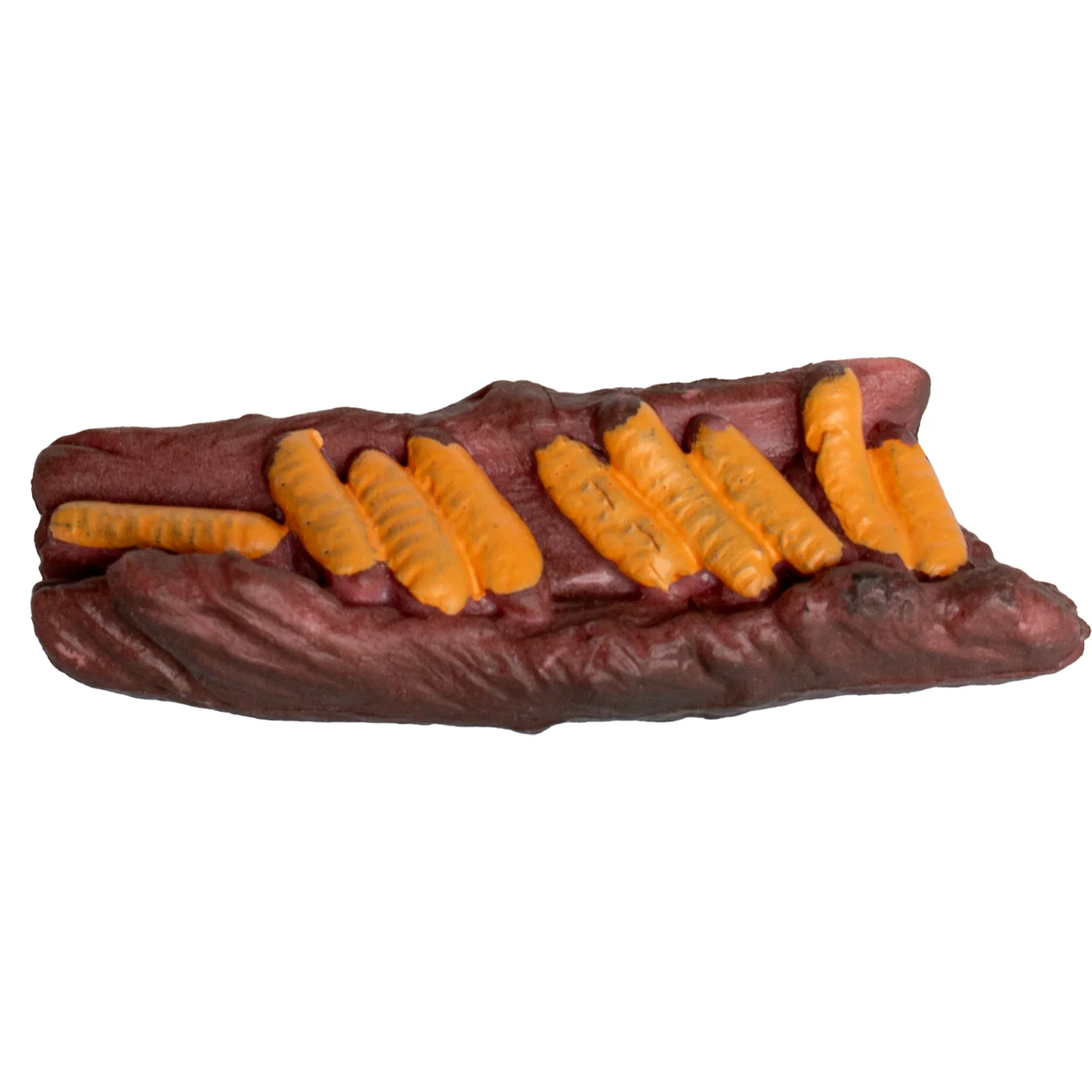 Lebenszyklus-Modell "Heuschrecke", 4-tlg.