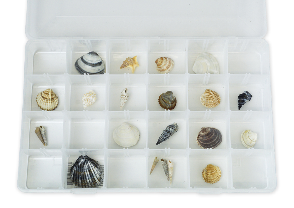 Duże pudełko asortymentowe, 355x220x50 mm