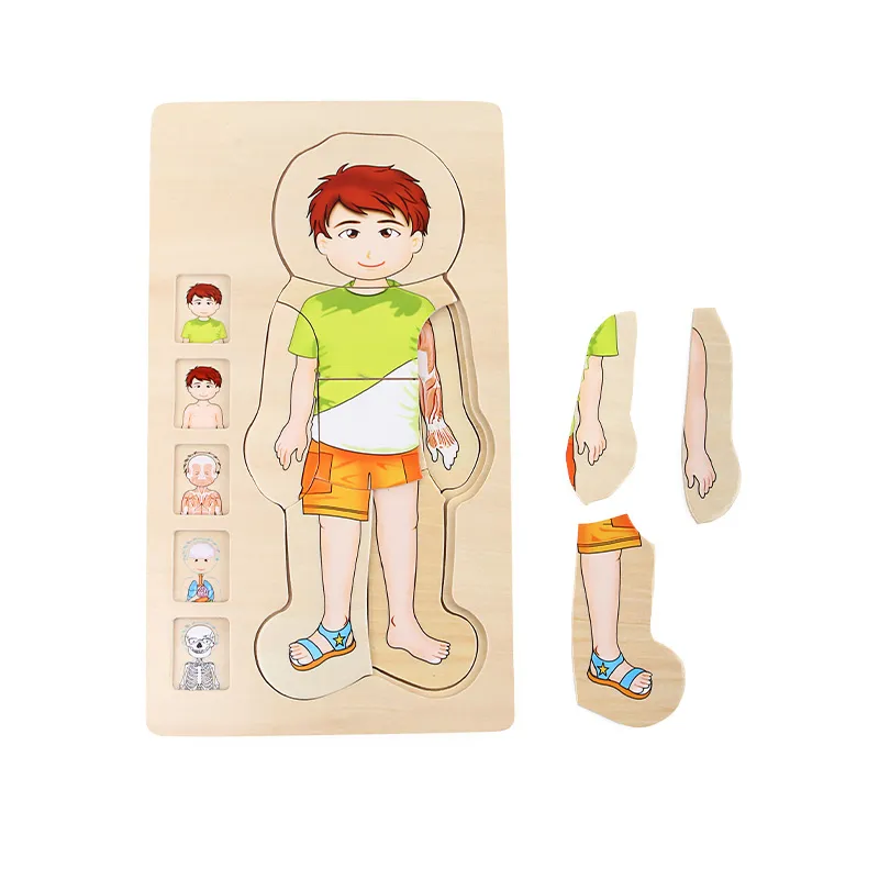 Schichten-Puzzle "Körper Junge", 29-tlg.