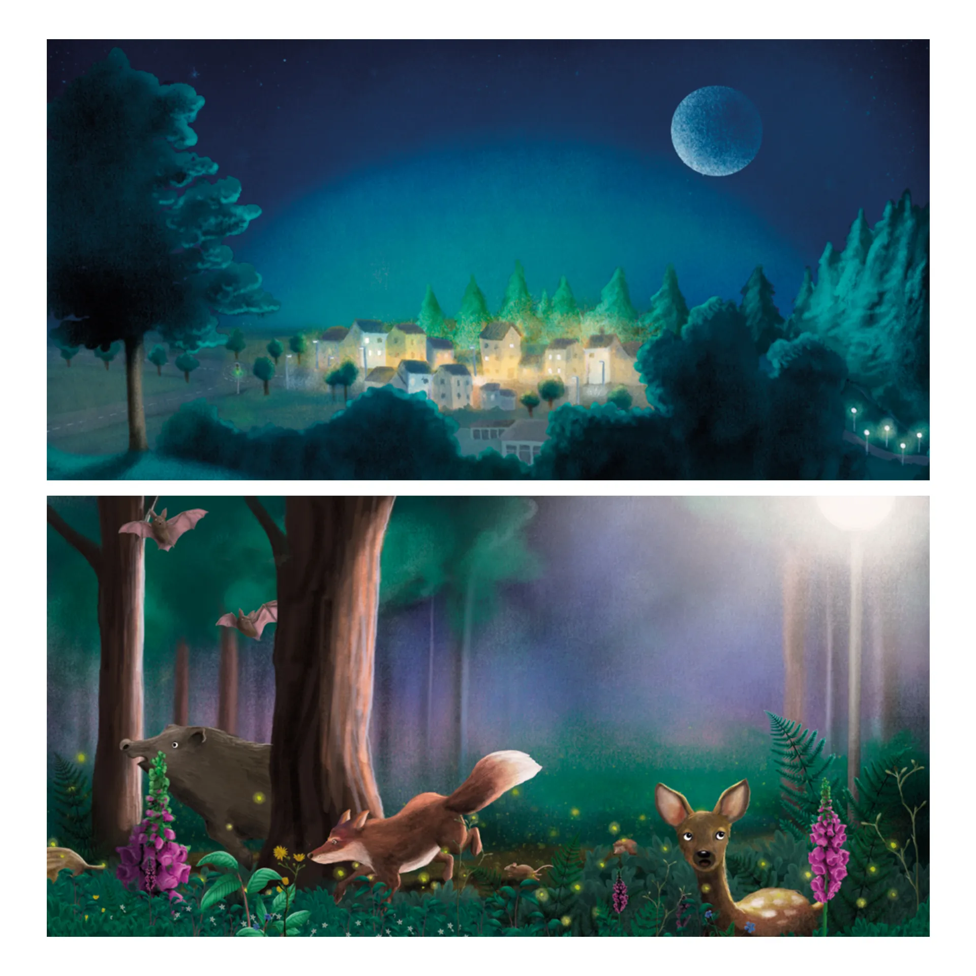 Buch "Finn Fledermaus und das Blenden in der Nacht", 48 Seiten