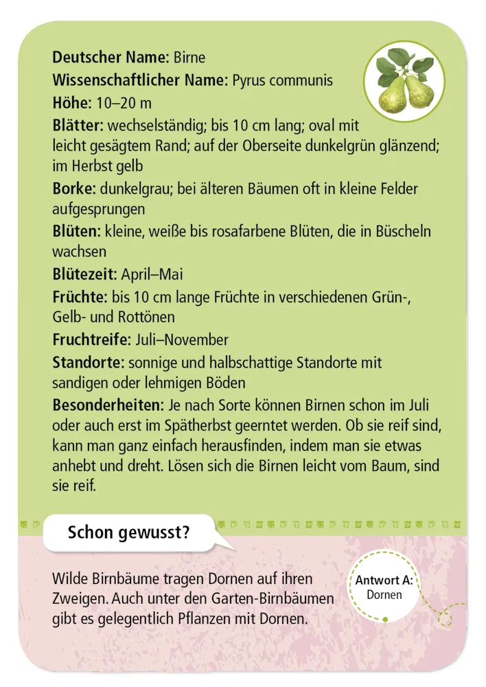 50 Garten- & Feldpflanzen entdecken und bestimmen