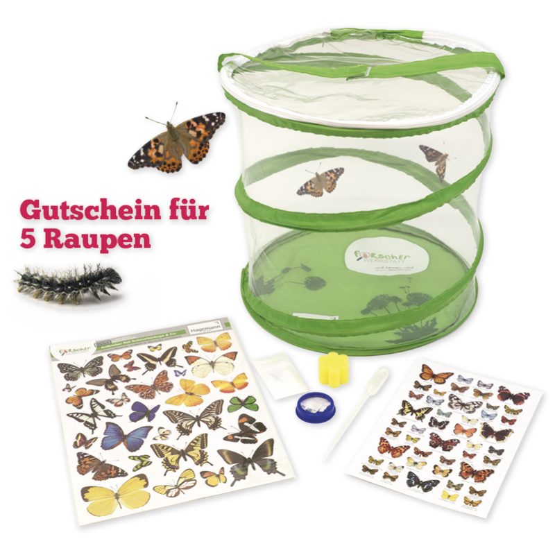 Klassen-Projektset "Tiere züchten + beobachten", 40-tlg. Klassen-Projektset "Tiere züchten + beobachten", 40-tlg.