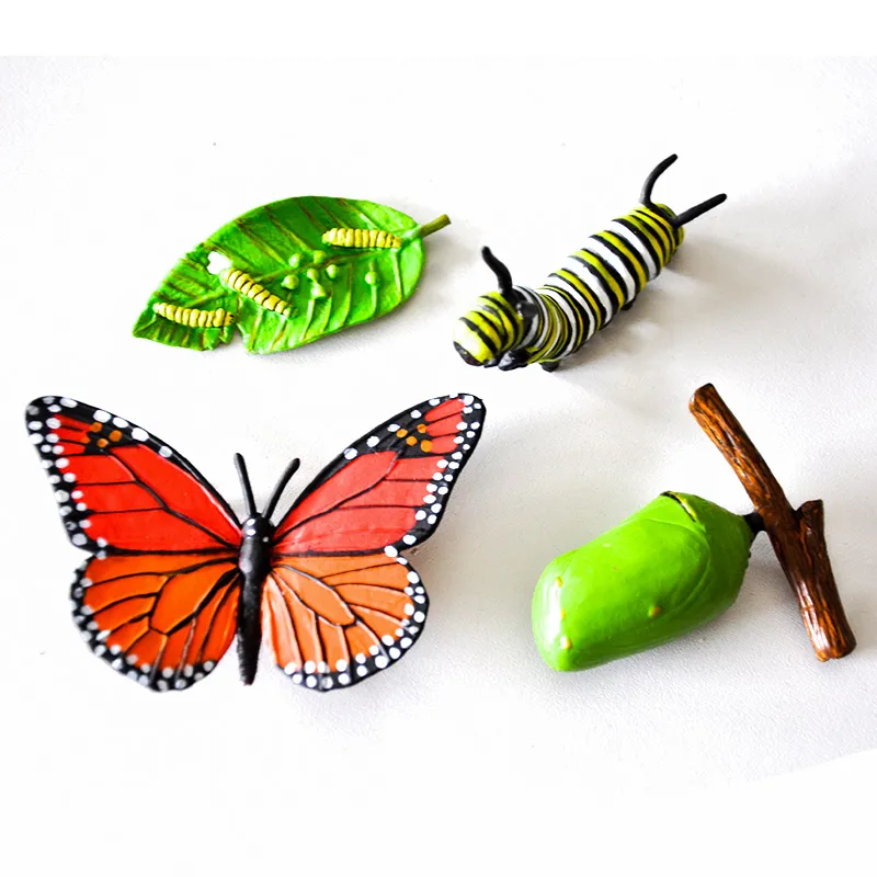 Lebenszyklus-Modell "Monarchfalter", 4-tlg.