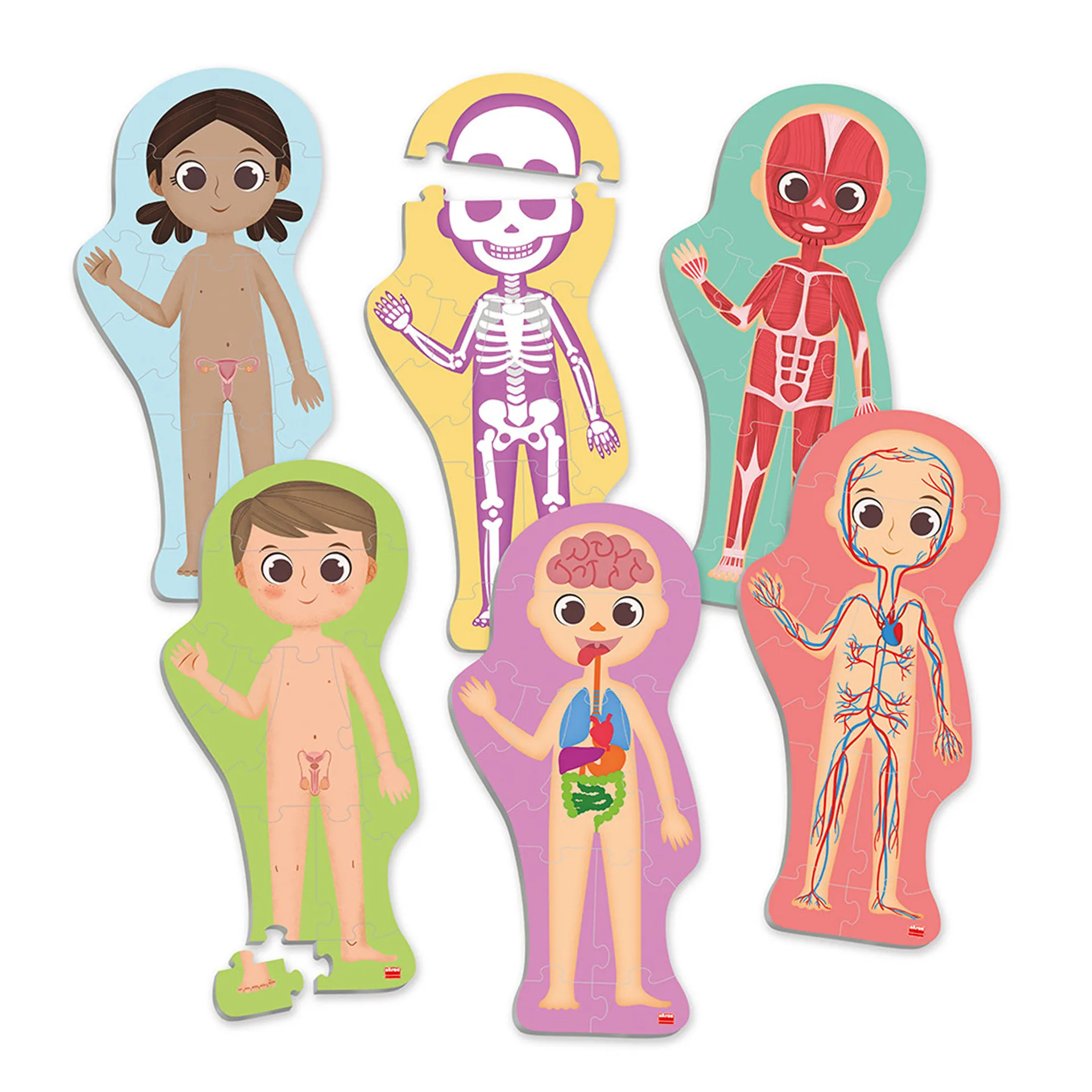 Educatief spel "Ontdek je lichaam", 100-delig