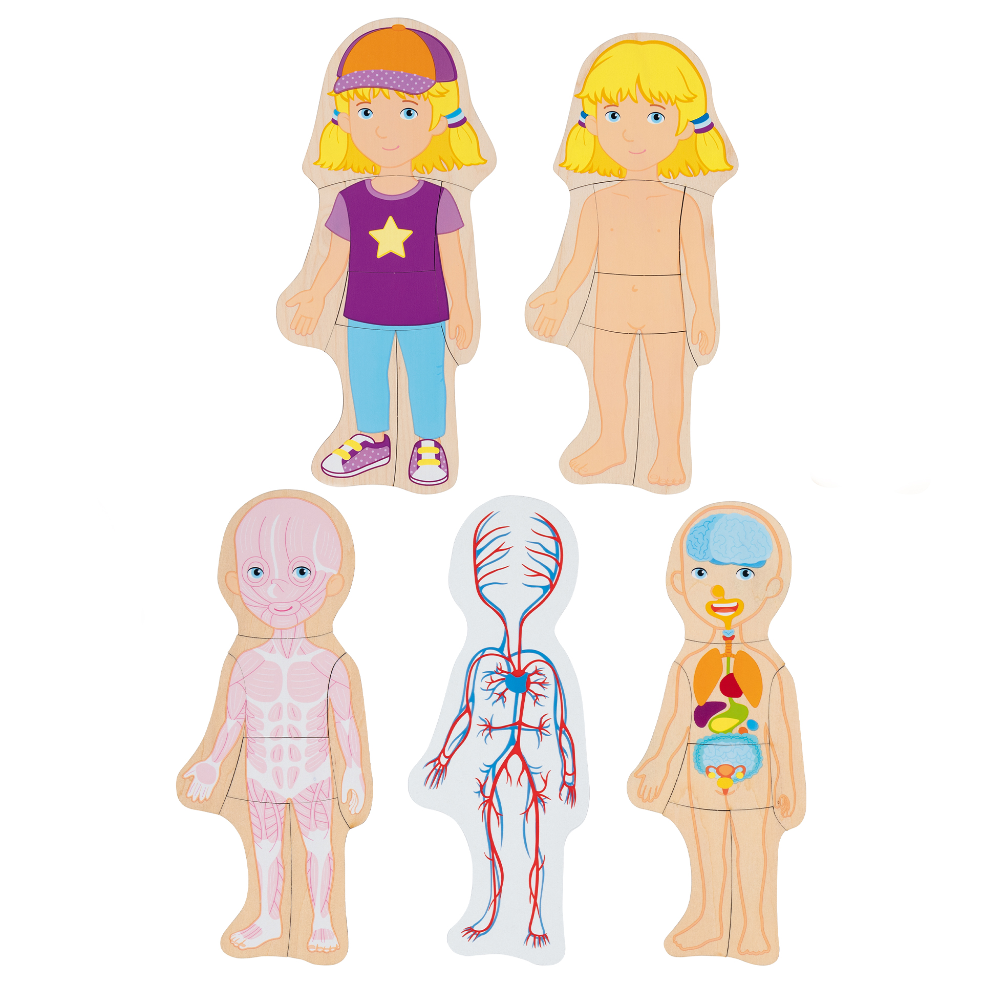 Schichten-Puzzle "Körper Mädchen", 29-tlg.