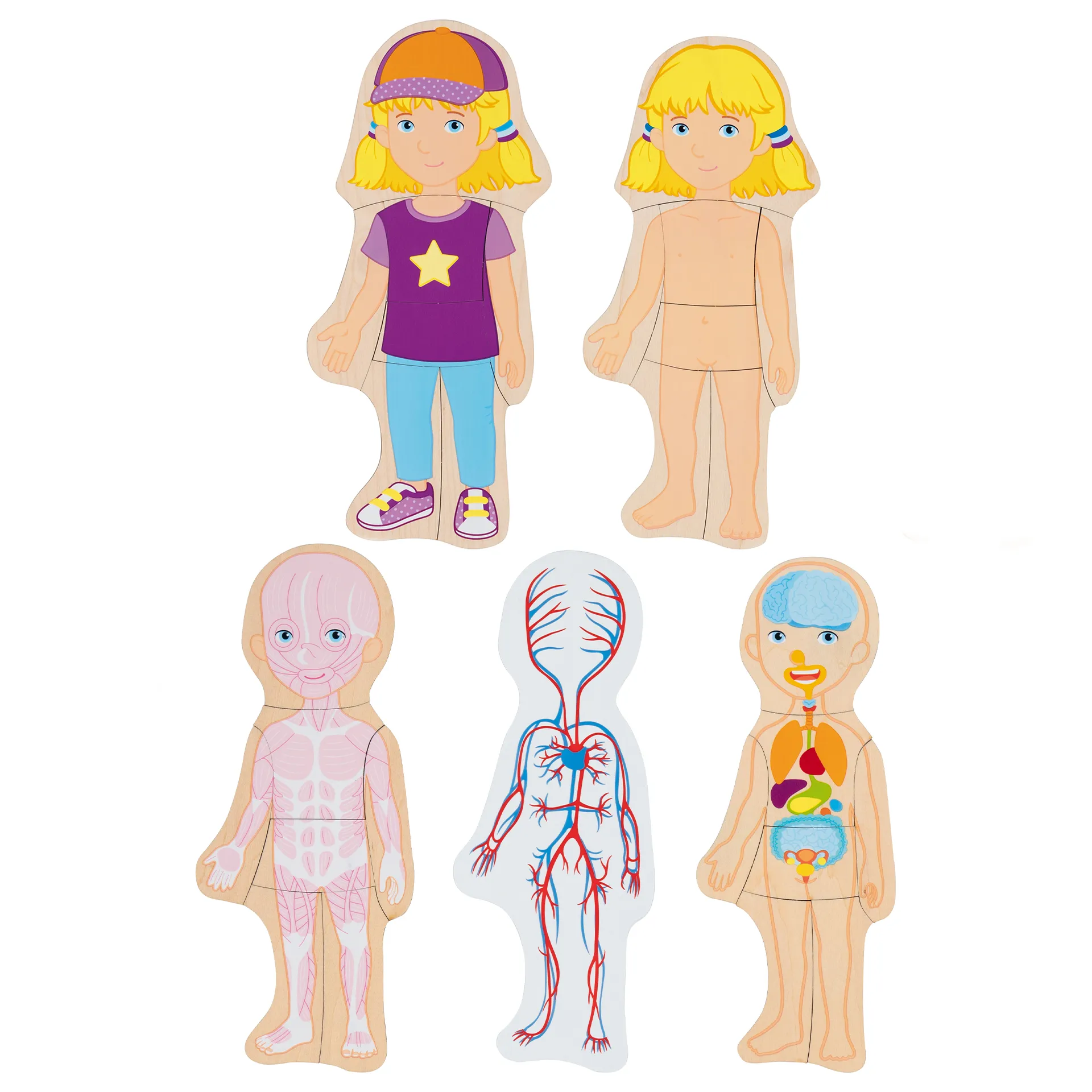 Schichten-Puzzle "Körper Mädchen", 29-tlg.