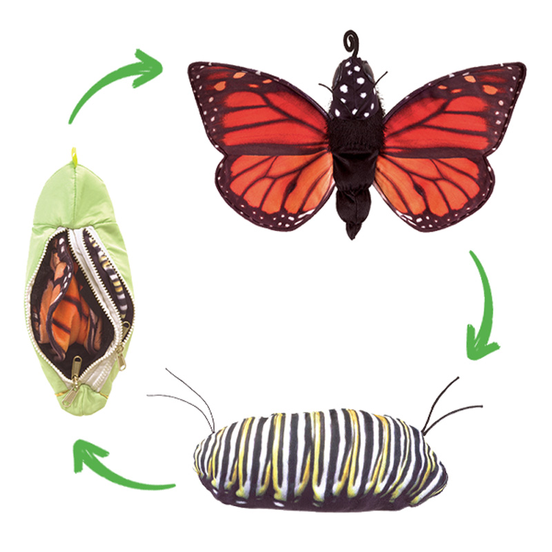 Wendepuppe "Lebenszyklus Schmetterling"