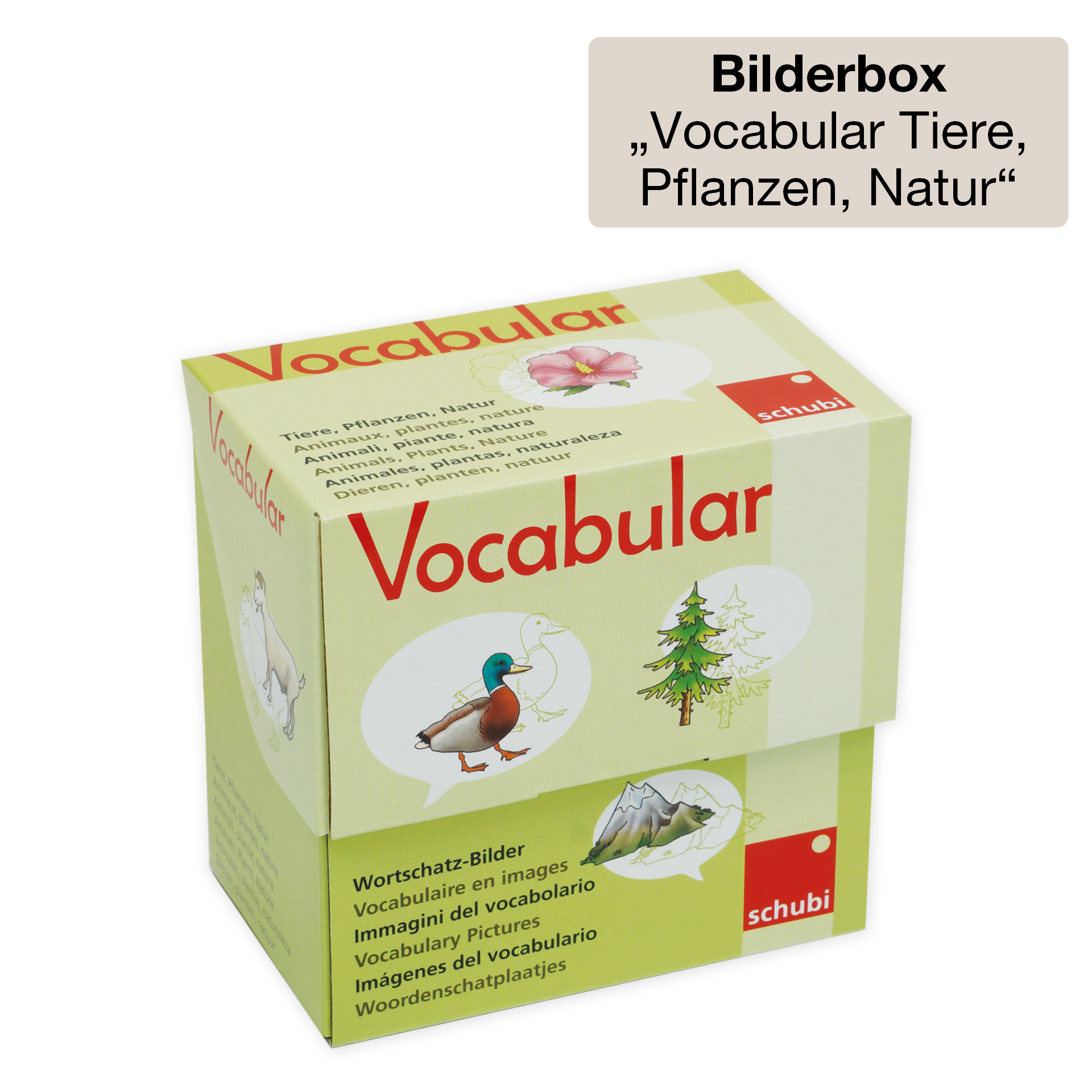 Klassenbox Deutsch - Wortschatzerweiterung & Deutsch als Zweitsprache "Startchancen"