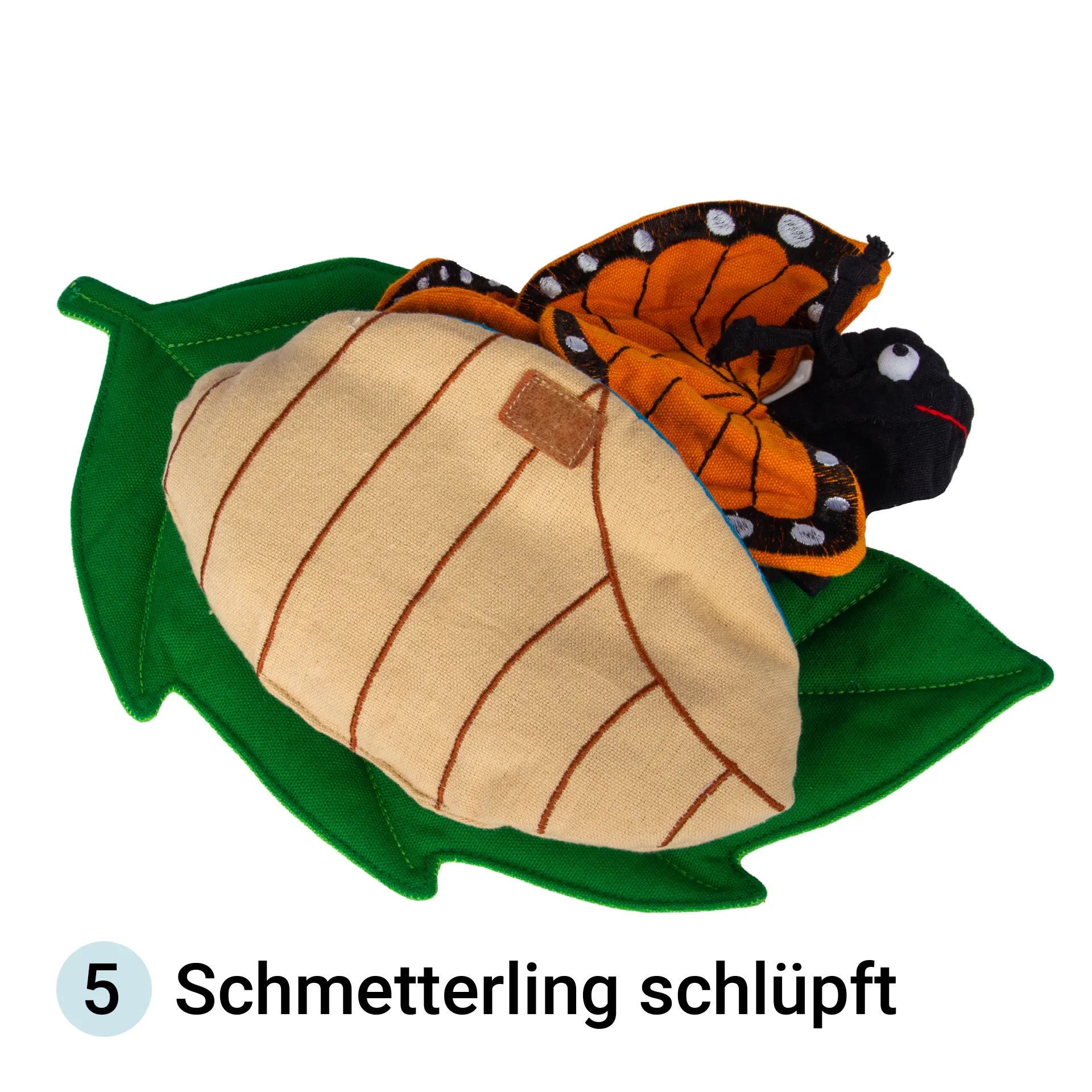 Lebenszyklus-Stoffmodell "Schmetterling", 3-tlg.