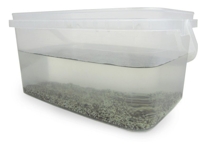 Zuchtset "Triops", 6-tlg. Zuchtset "Triops", 6-tlg.