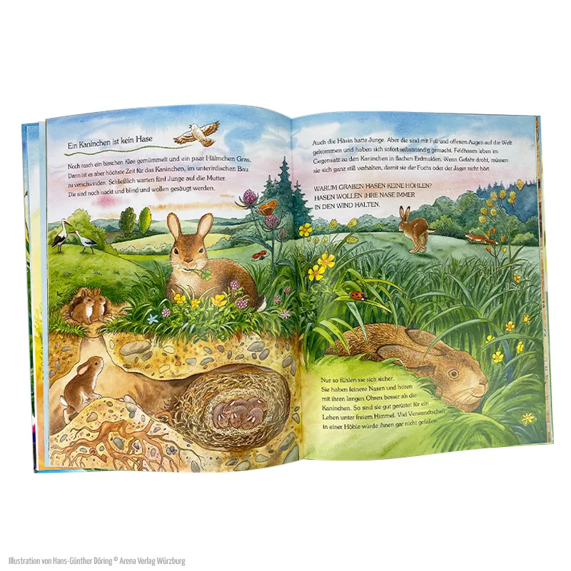 Buch "Der kleine Marienkäfer und die Tiere auf der Wiese", 32 Seiten