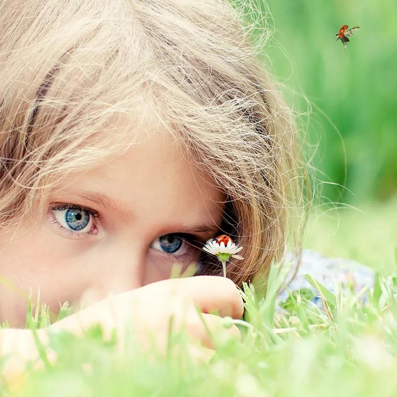 Gruppen-Projektset "Marienkäfer", 9-tlg.