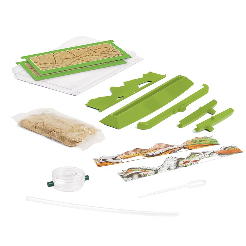 Le monde des fourmis, 9 pcs