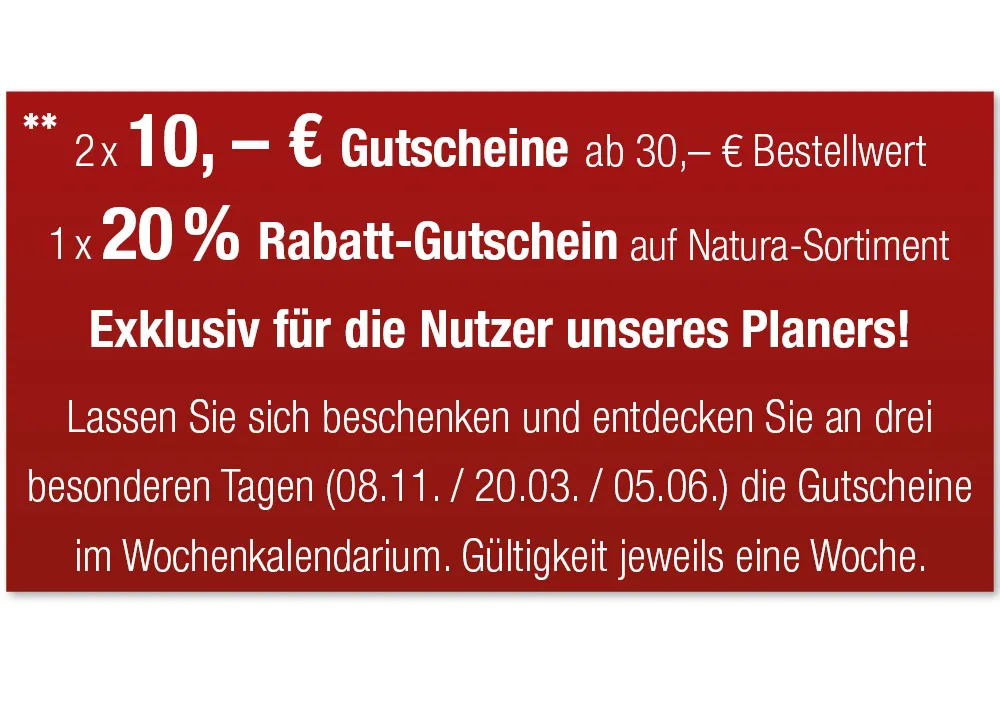 System-Schulplaner-Set 2025/2026 A4-Plus, gelb