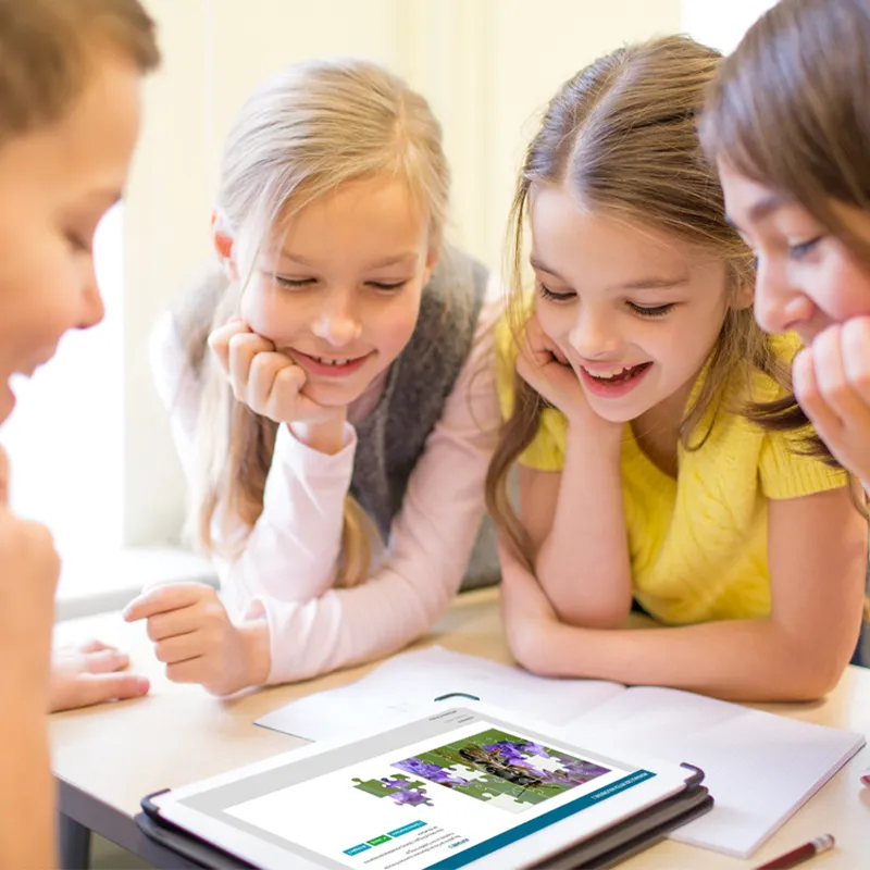 Zuchtset "Wildbienen" kompakt zum Aufklappen, Rote Mauerbiene, 4-tlg.