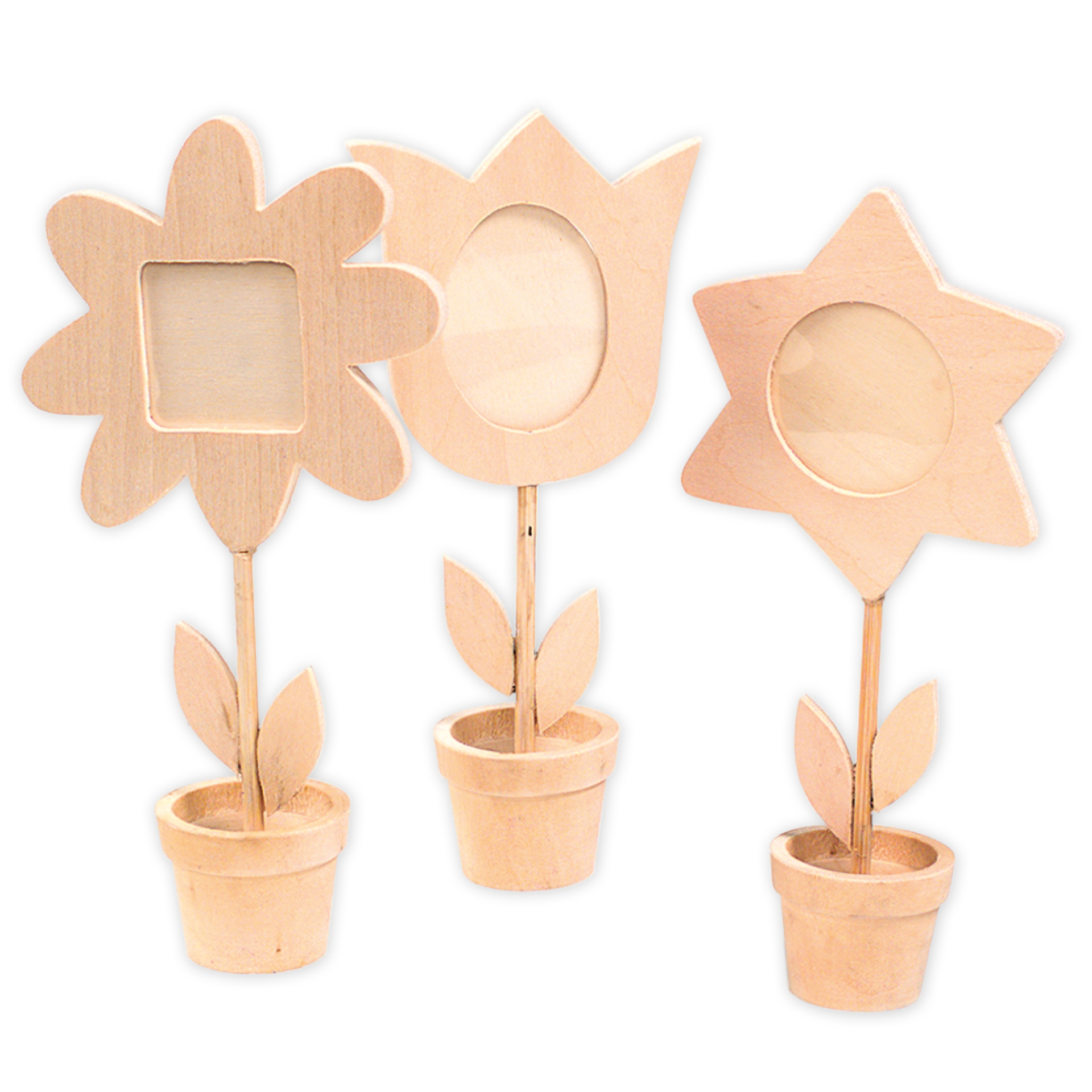 TimeTEX Blumentopf-Bilderrahmen, 12 Stück