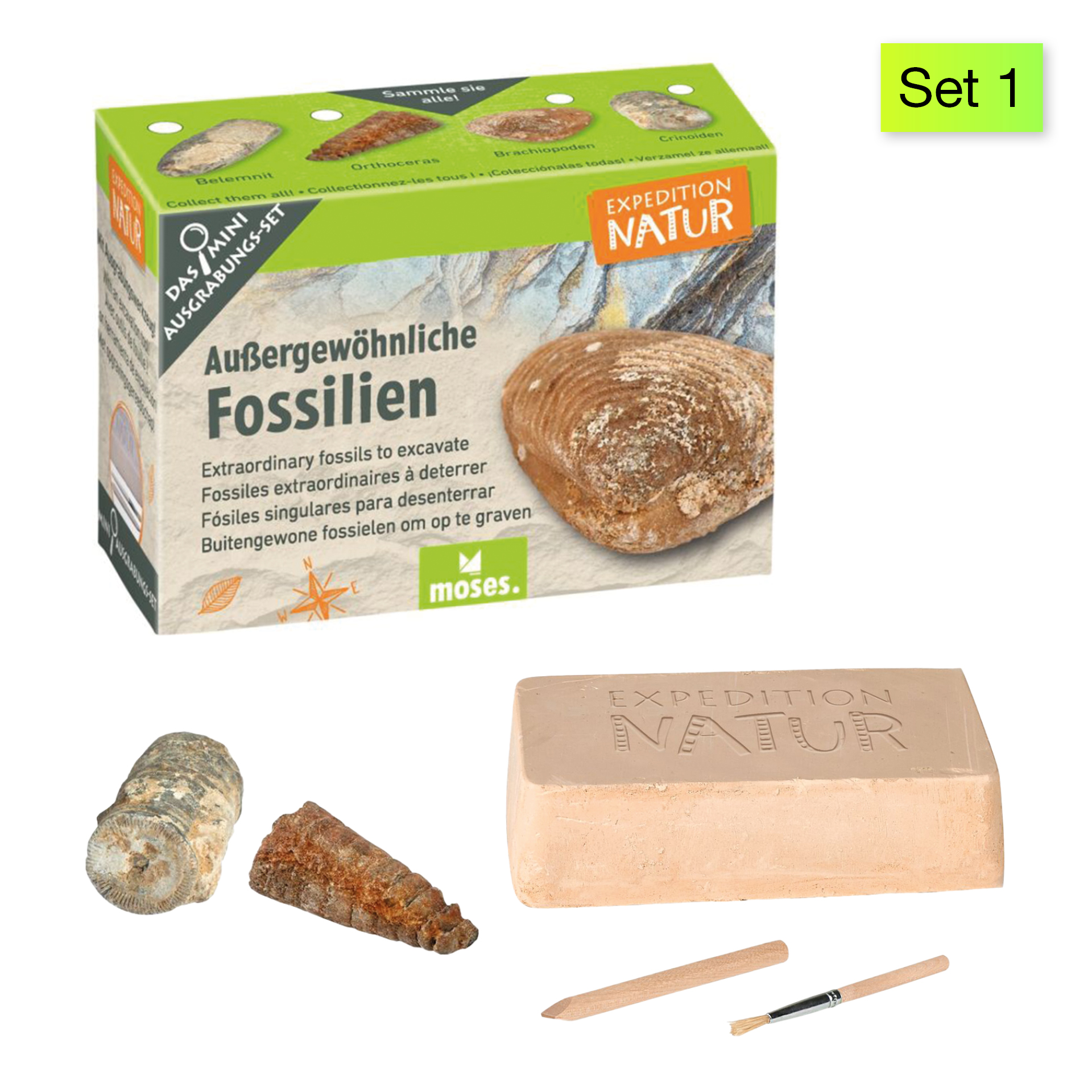 Ausgrabungs-Set "Schatzsuche", klein Ausgrabungs-Set "Schatzsuche", klein