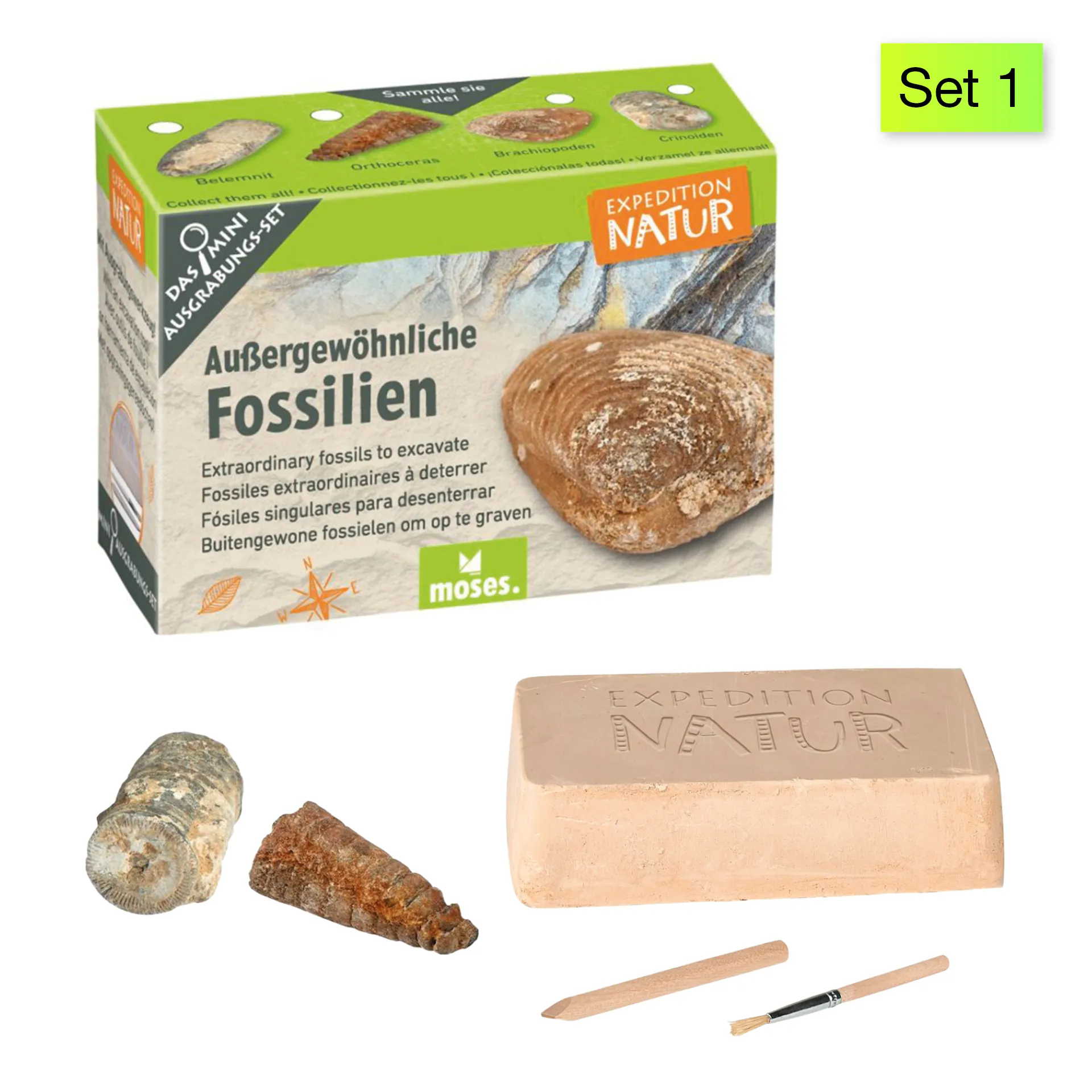 Ausgrabungs-Set "Schatzsuche", klein Ausgrabungs-Set "Schatzsuche", klein