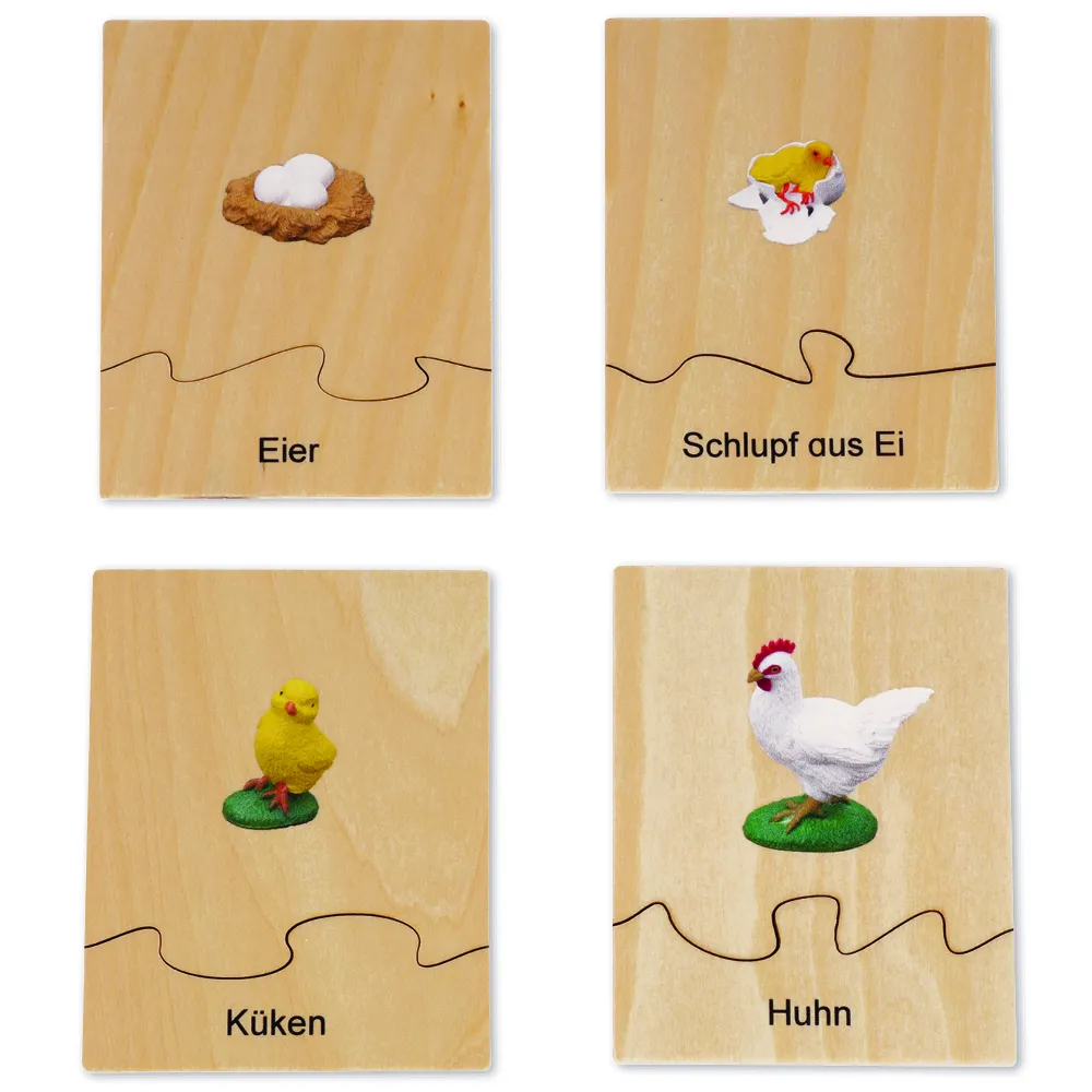 TimeTEX - Ciclul de viață la găini, în cutie din lemn "Montessori Premium"