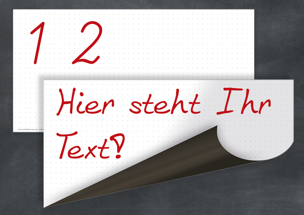 TimeTEX Flexo-Whiteboard mit Punktraster, magnetisch, 2-tlg.