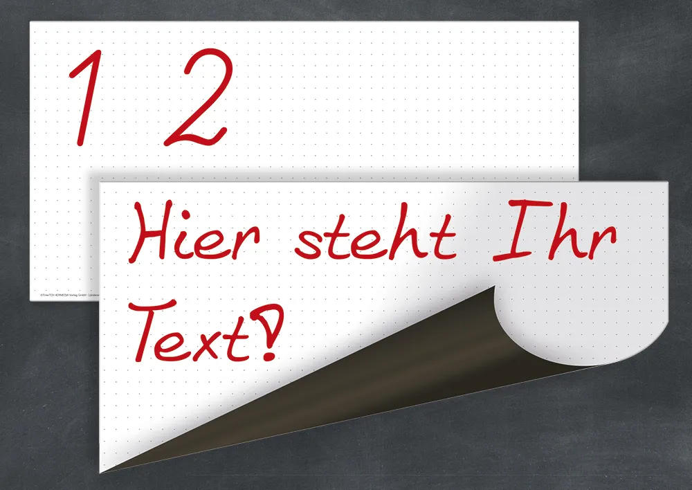 TimeTEX Flexo whiteboardtavla med punktnät, magnetisk, 2-delad.