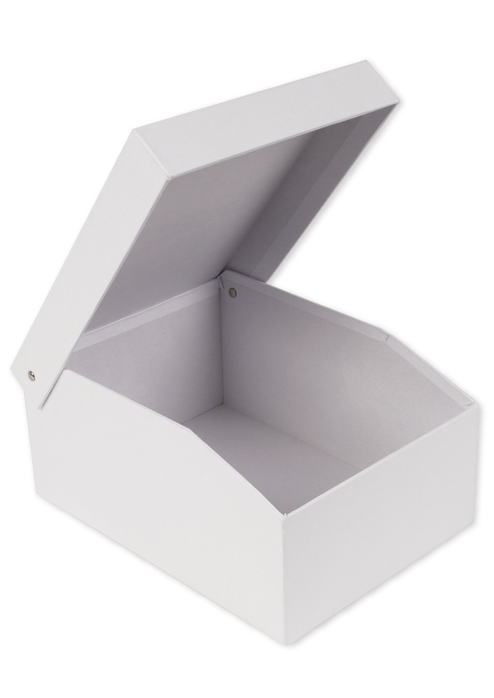 Lot de 3 boîtes de rangement blanches avec couvercles et porte-étiquettes