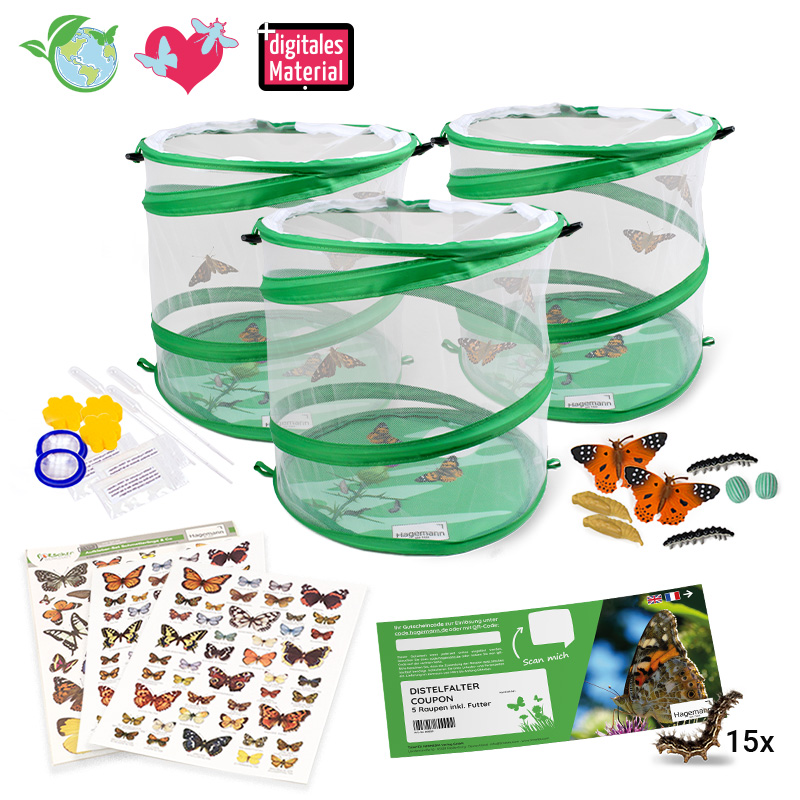 Gutschein-Set "Gruppen-Projekt Schmetterlinge", 17-tlg.