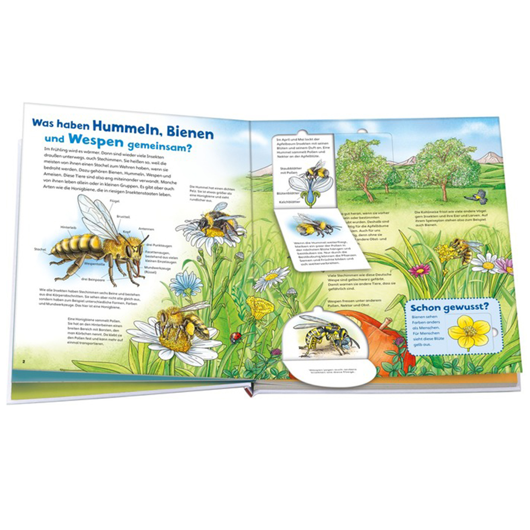 WAS IST WAS Junior Band 34 "Bienen, Wespen, Hummeln", 20 Seiten