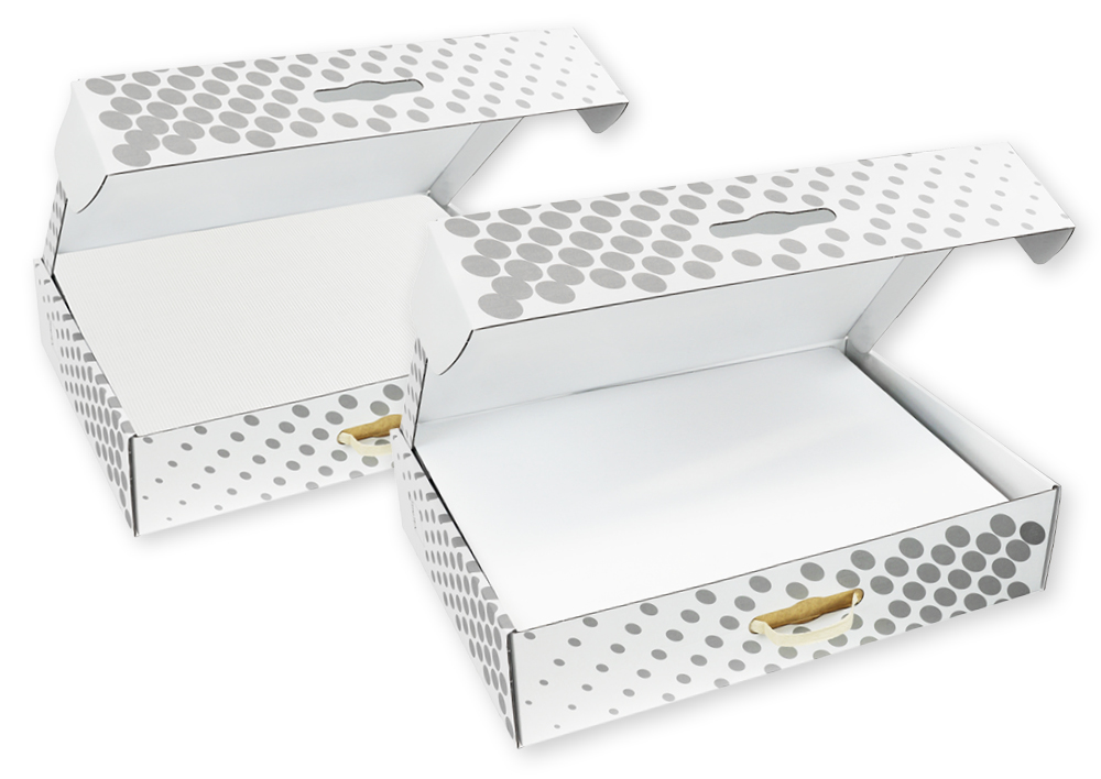 Set Sichtschutz-Wände im Tragekoffer