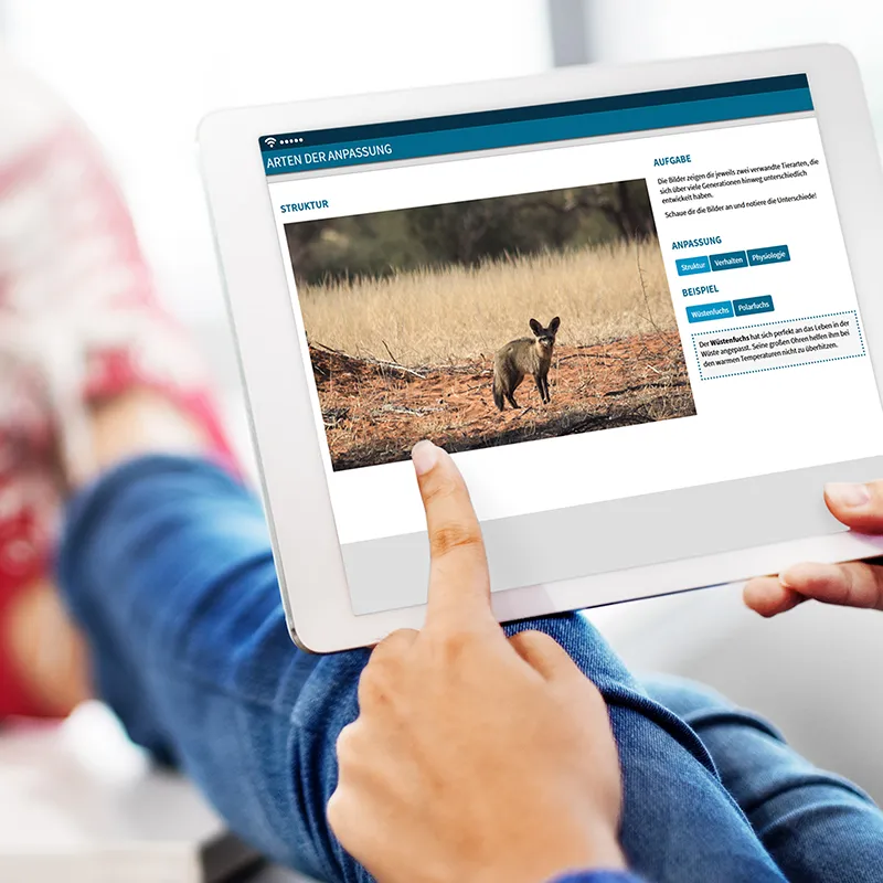 Didaktische DVD "Unser Körper in 3D: Skelett und Muskulatur", tabletfähig