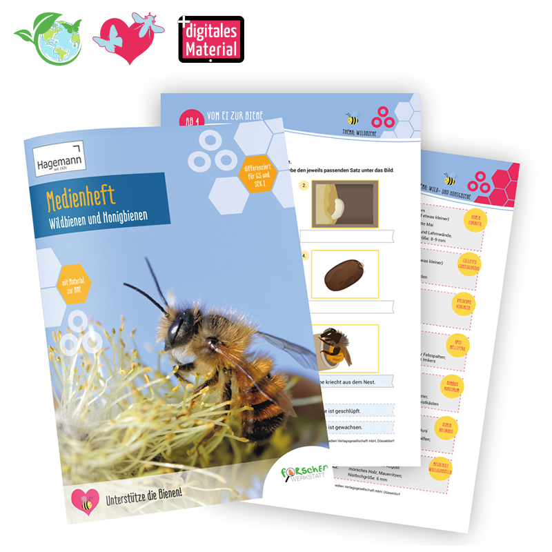 Medienheft "Wild- und Honigbienen", 44 Seiten