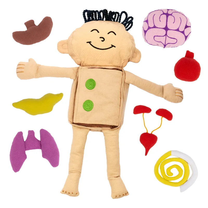 Forscher-Puppe "Mein Körper", 9-tlg.