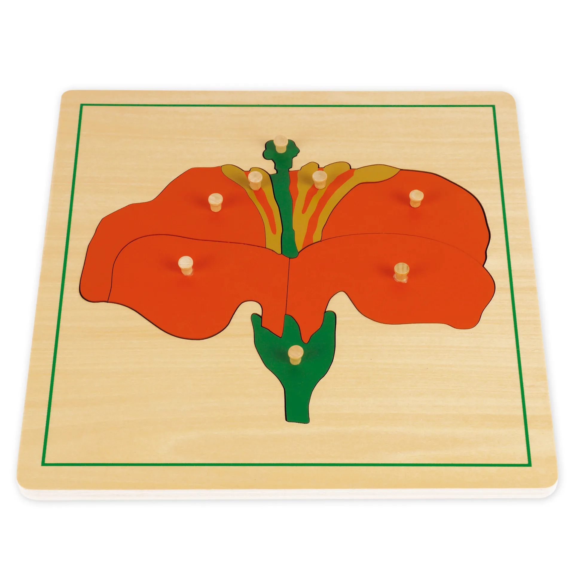 TimeTEX Set Botanische Puzzle mit Kasten "Montessori Premium"