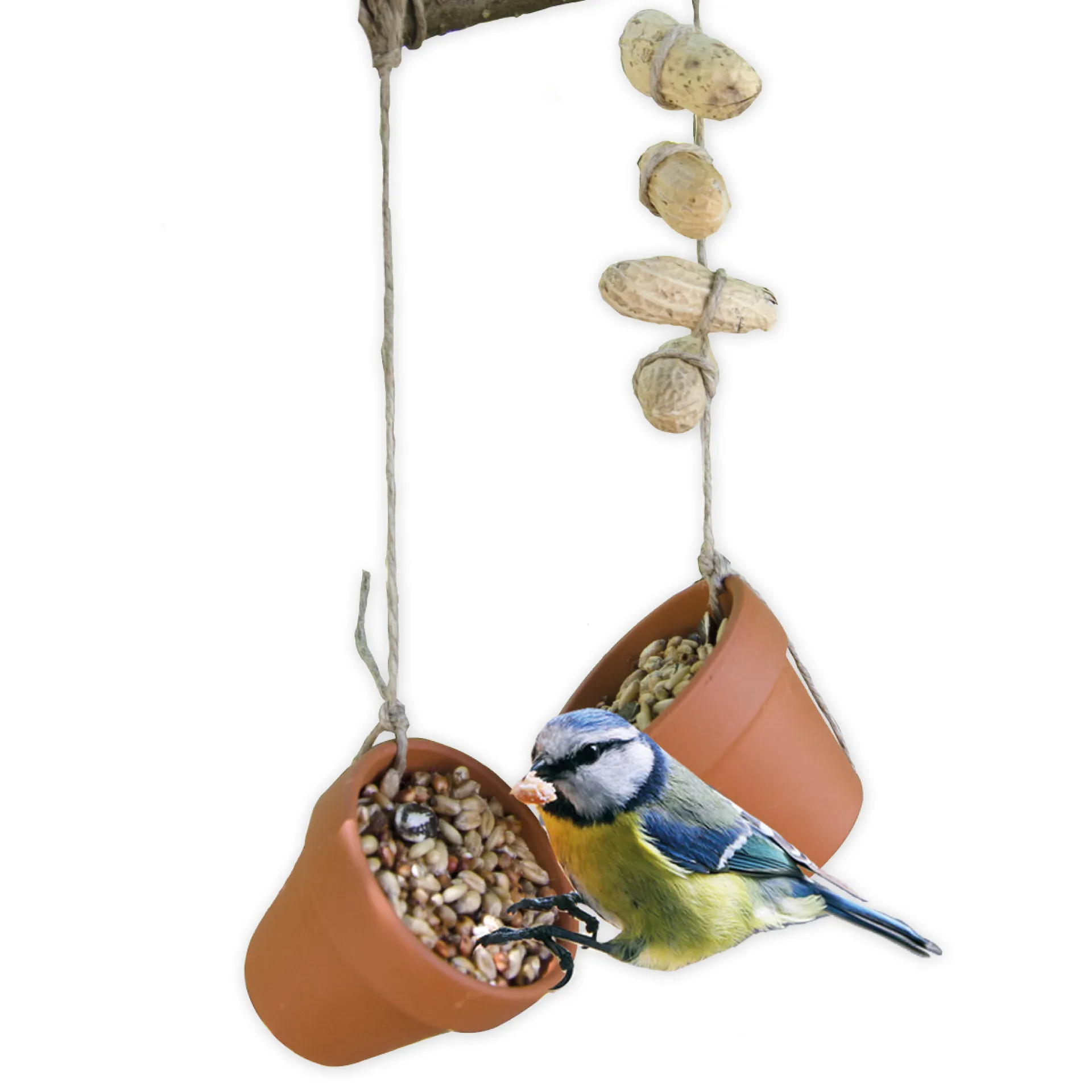 Bastelset "Vogelfutter", Klassensatz, 44-tlg.