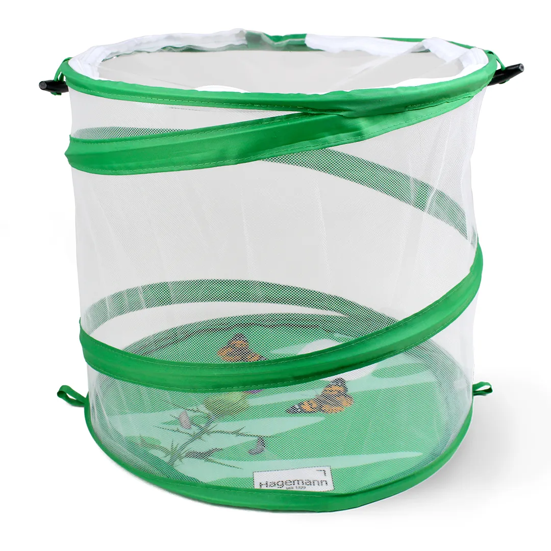 Gruppen-Projektset "Marienkäfer", 9-tlg.