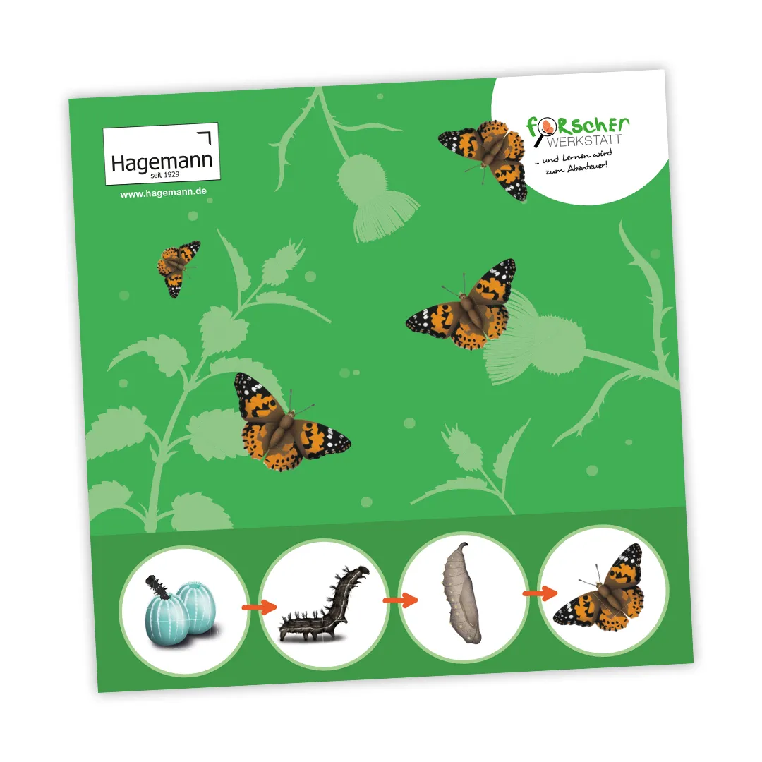 Schmetterlings-Villa mit Panorama-Fenster, 40x40 cm