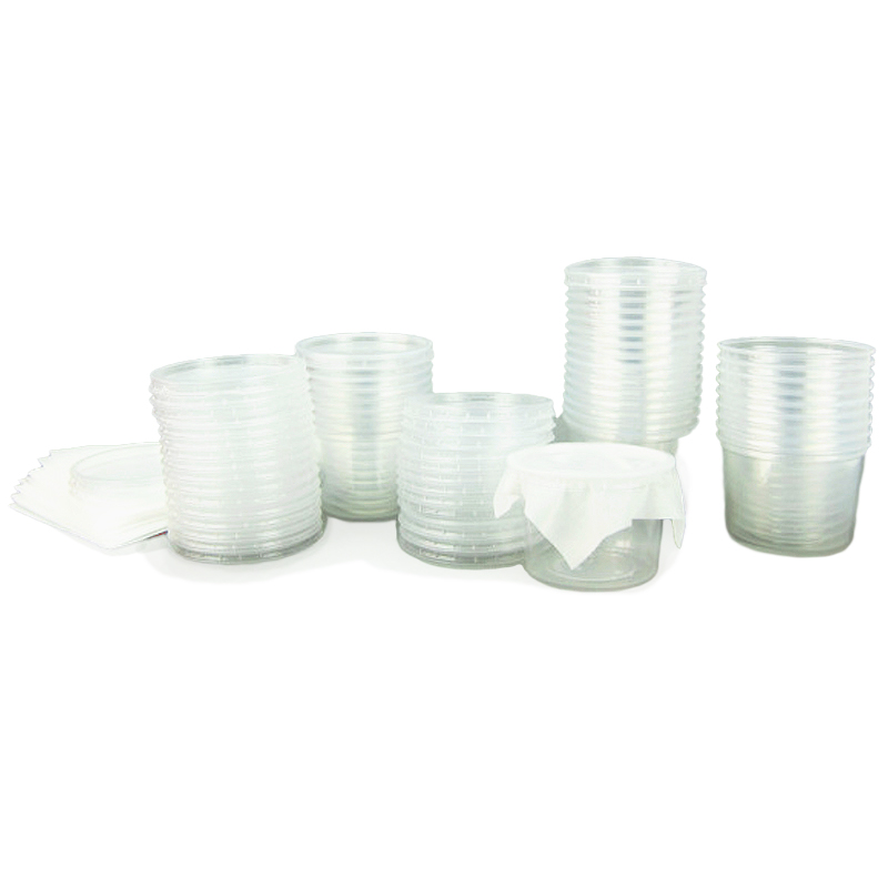 Klassen-Projektset "Schmetterlings-Zucht", 65-tlg. Klassen-Projektset "Schmetterlings-Zucht", 65-tlg.