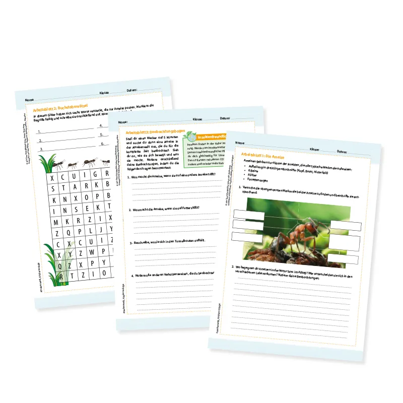 Le monde des fourmis, 9 pcs