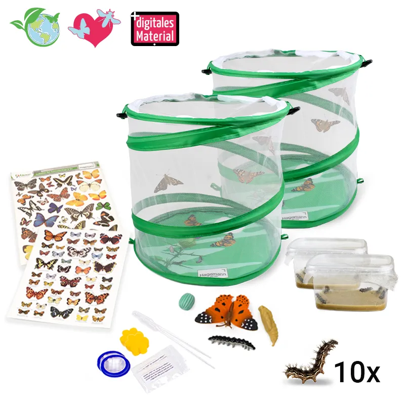 Zuchtset "Schmetterlinge", groß, 12-tlg.
