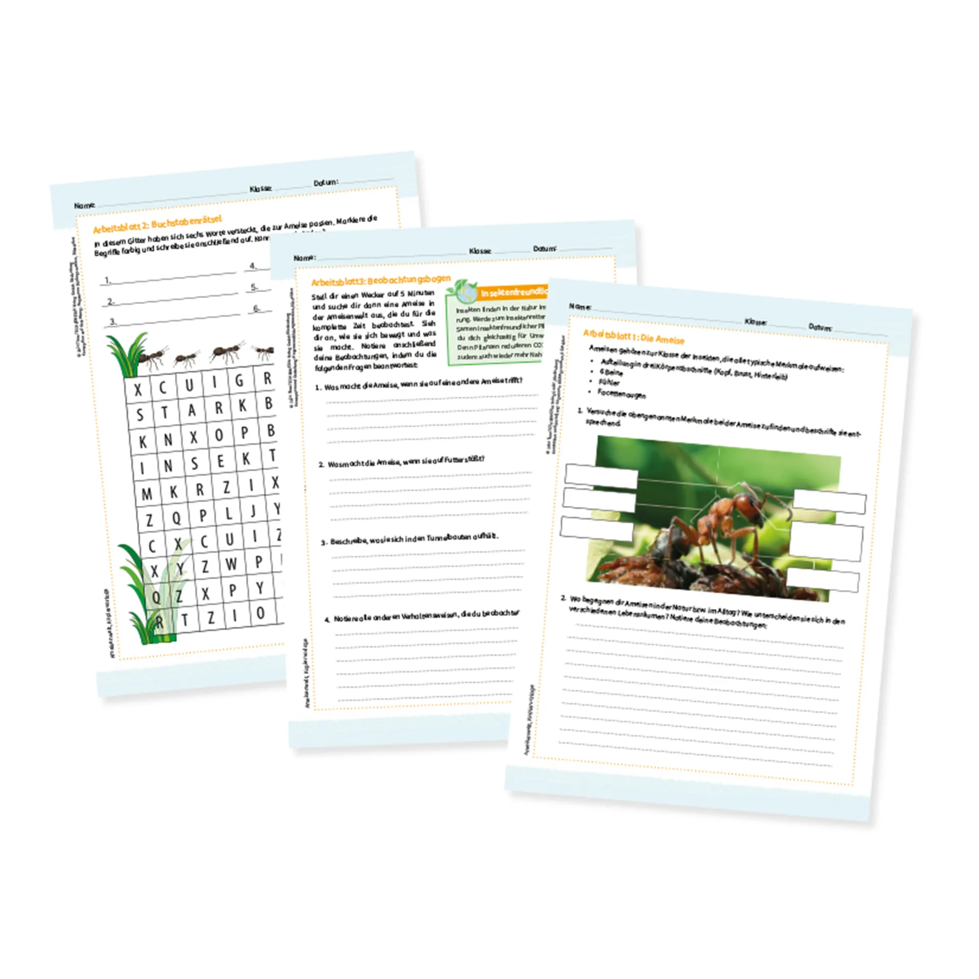 Klassen-Projektset "Tiere züchten + beobachten", 40-tlg.