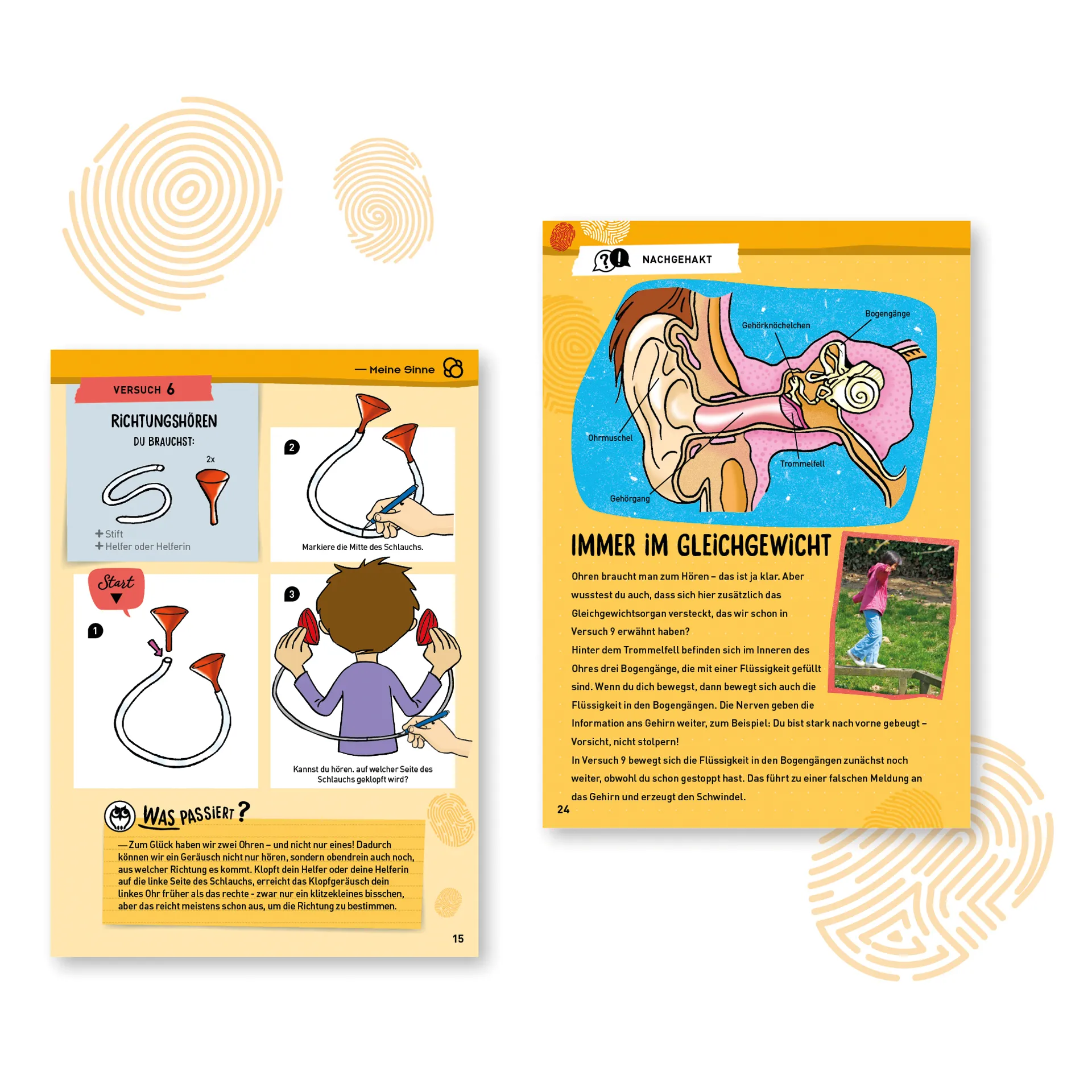 KOSMOS Set "Mein erster Experimentierkasten: Körper & Sinne", 35-tlg.