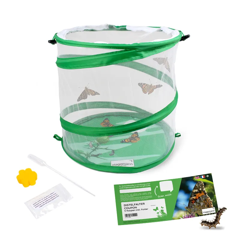 Gutschein-Set "Schmetterlinge", Starter-Set, 5-tlg.