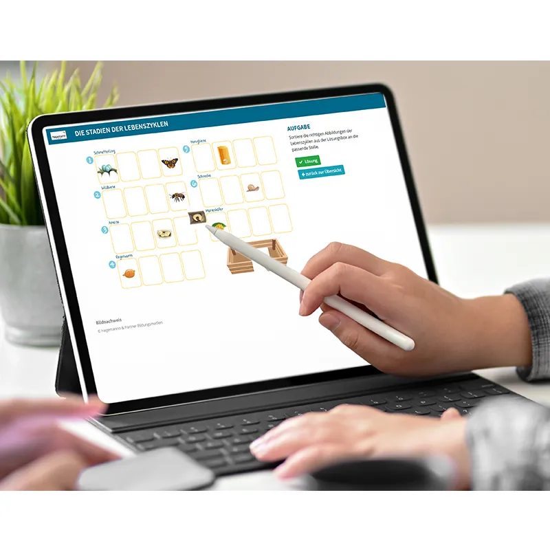 Klappen-Flipchart "Lebenszyklus: Schmetterlinge, Bienen & Co."