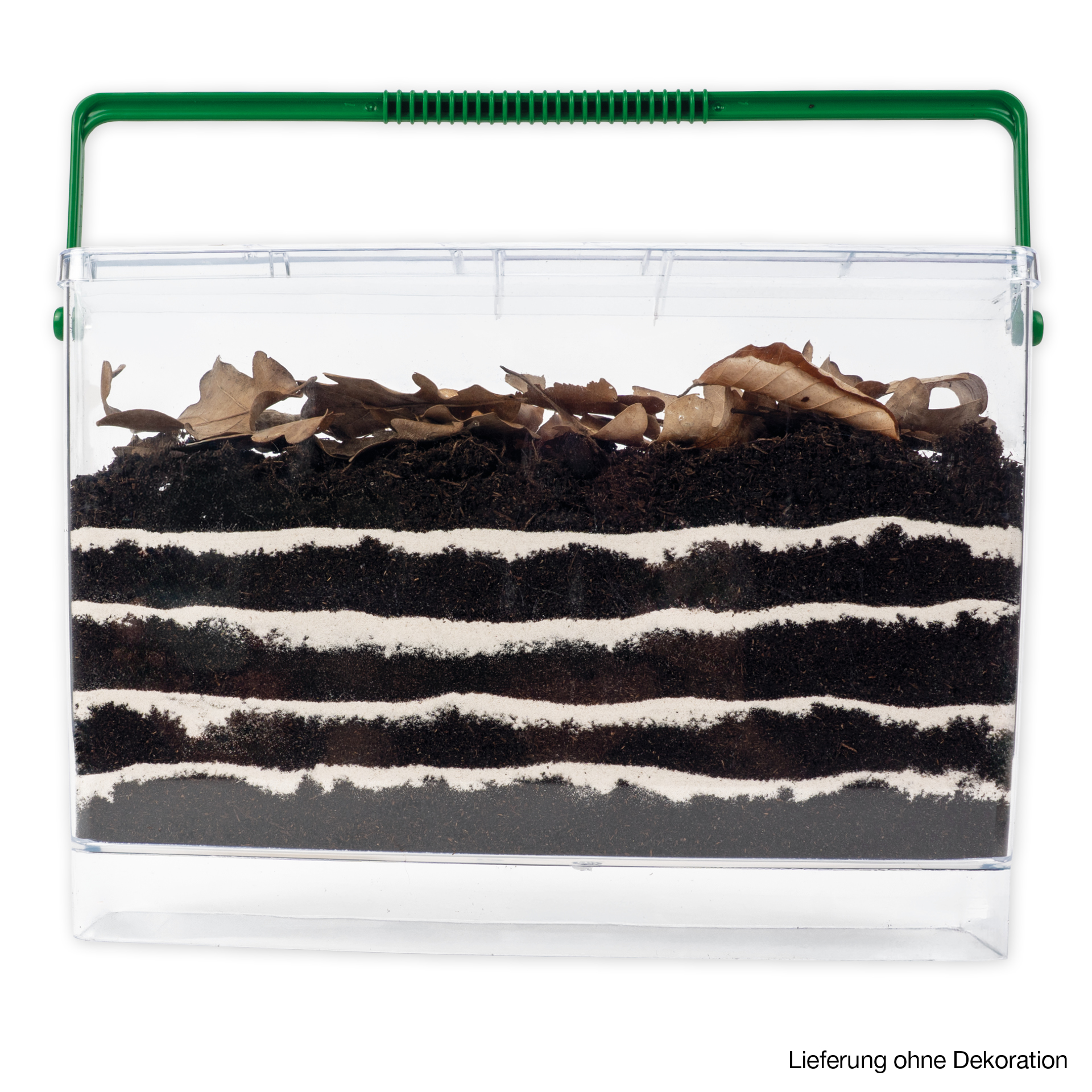 Beobachtungs-Set "Regenwürmer", 8-tlg.