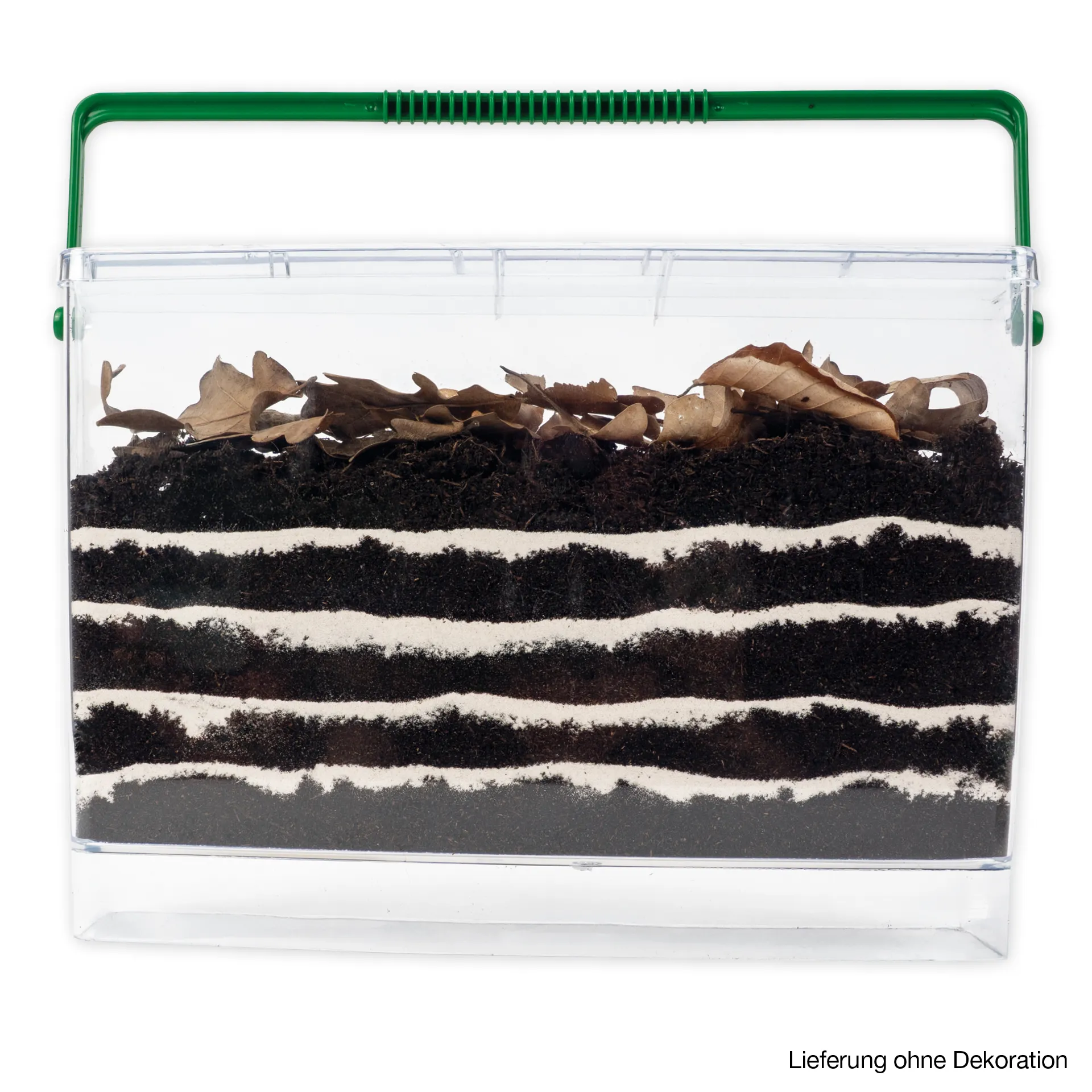 Beobachtungs-Set "Regenwürmer", 8-tlg.