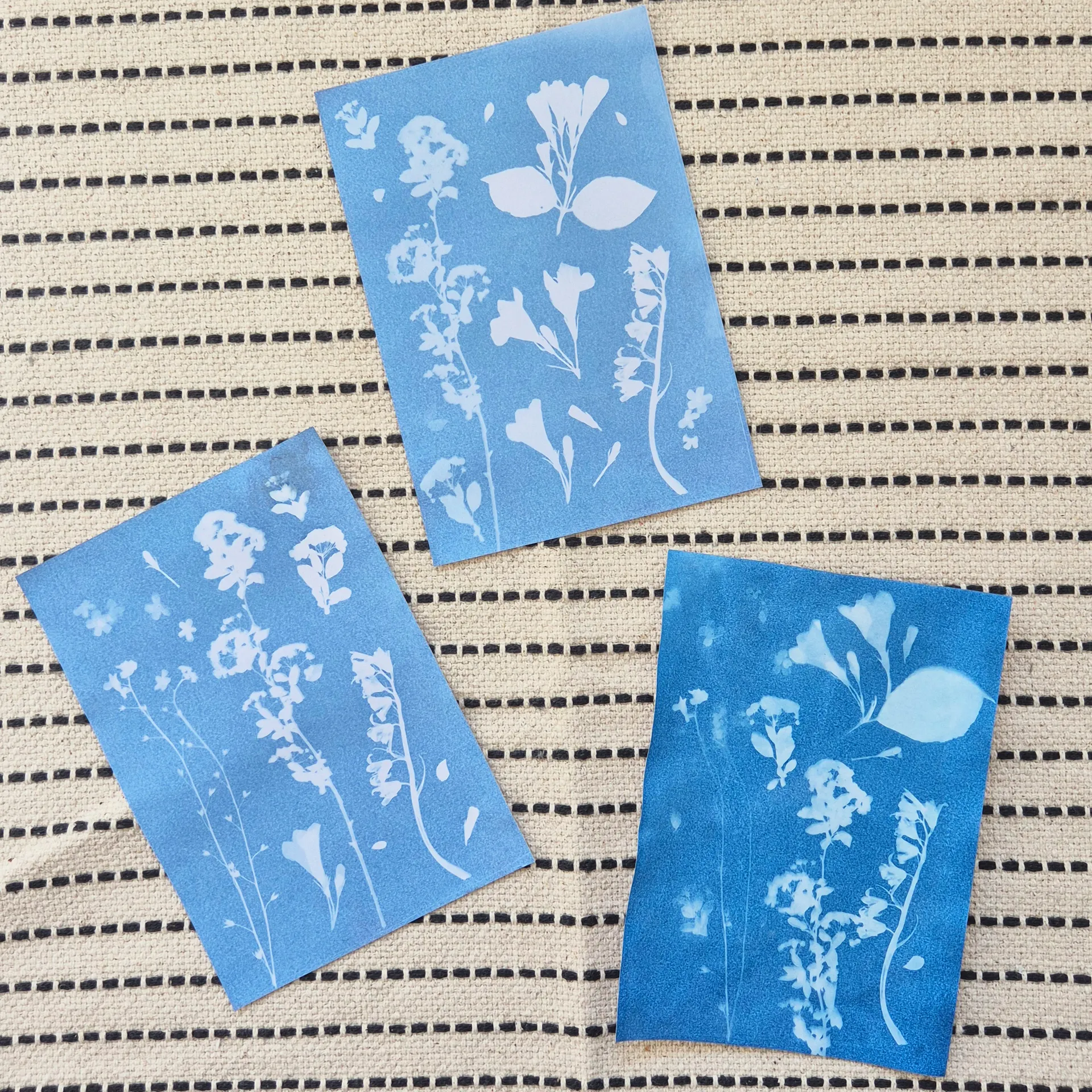 Foto-Solarpapier A5, mit Fixierscheibe, 10 Blatt