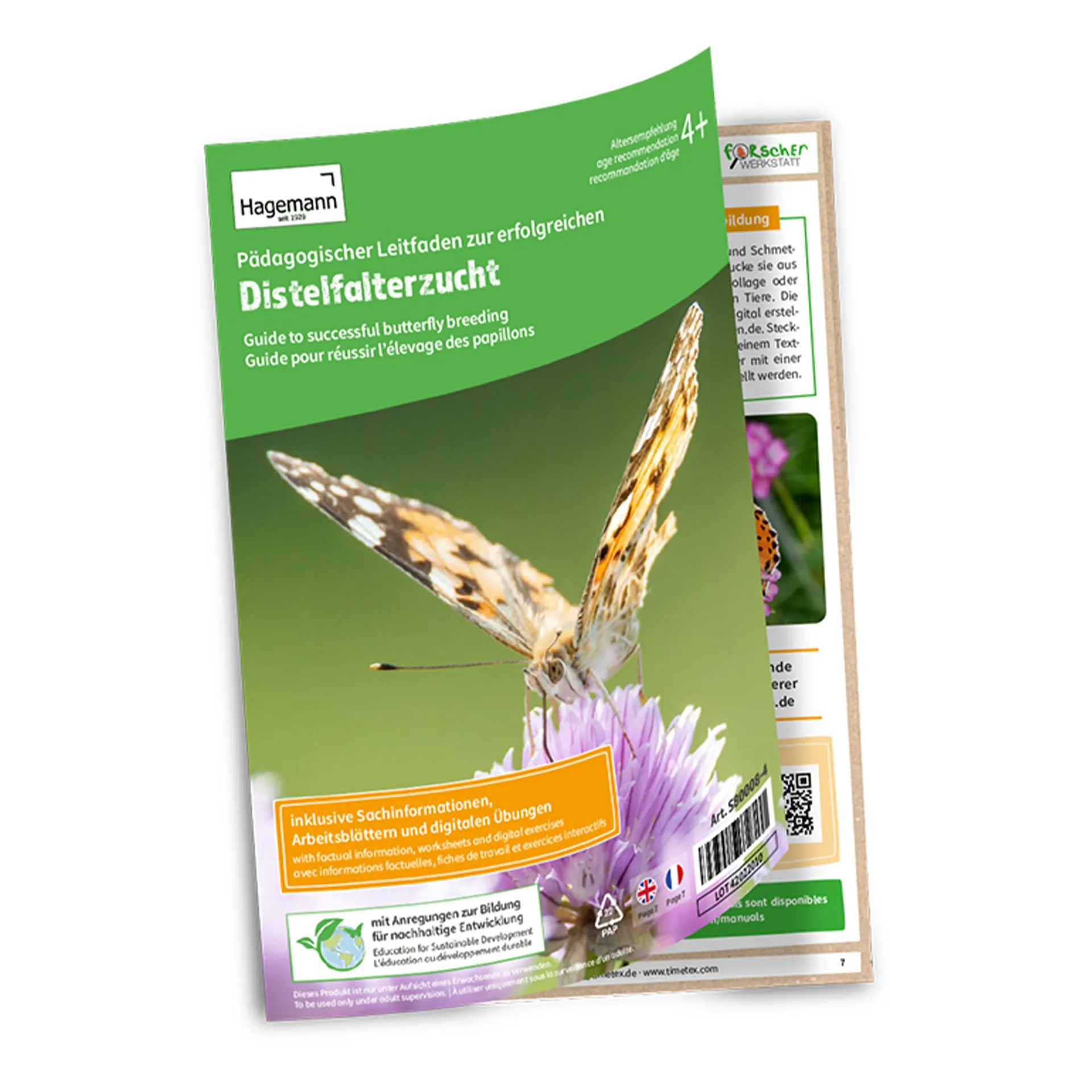 Gruppen-Projektset "Schmetterlinge", Starter-Set, 13-tlg.