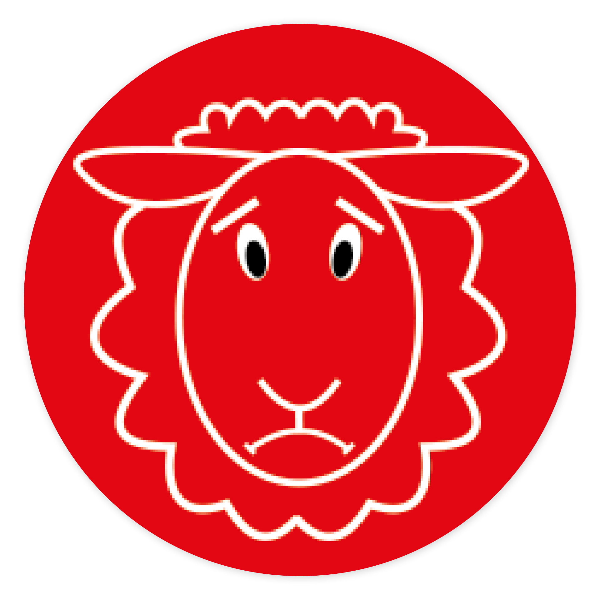 Magnetiska bitar set "Animal faces"