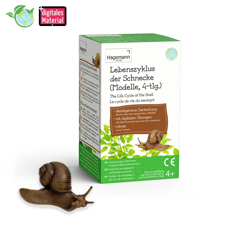 Lebenszyklus-Modell "Schnecke", 4-tlg.